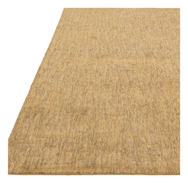 Žltý koberec 230x160 cm Aston - Asiatic Carpets
