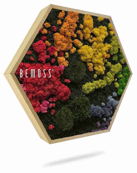 Machový Hexagon BEMOSS® ORTHO IRIS - Priemer 30 cm (v najširšom mieste šesťuholníka)