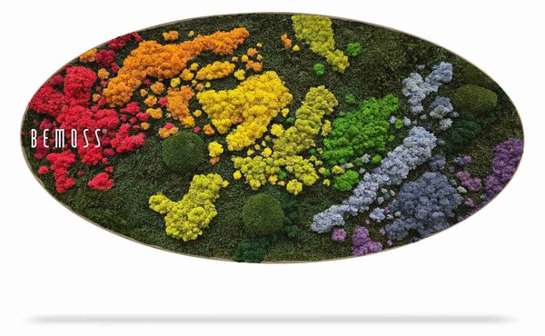Machový obraz Elipsa BEMOSS® ORTHO IRIS - 50 x 100 cm