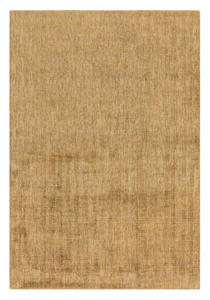 Žltý koberec 230x160 cm Aston - Asiatic Carpets