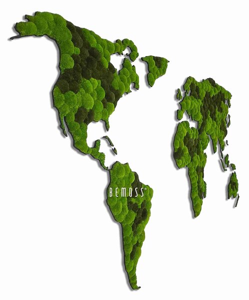 Machový obraz Mapa sveta KONTINENTY BOLMOSS DUO Light - 300 x 155 cm