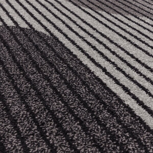 Sivý koberec 230x160 cm Muse - Asiatic Carpets