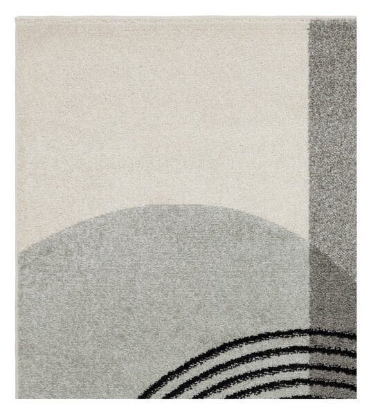 Sivý koberec 230x160 cm Muse - Asiatic Carpets