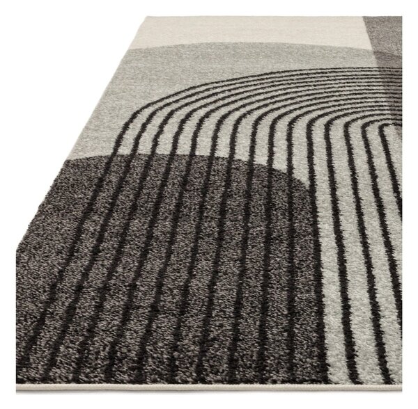 Sivý koberec 230x160 cm Muse - Asiatic Carpets
