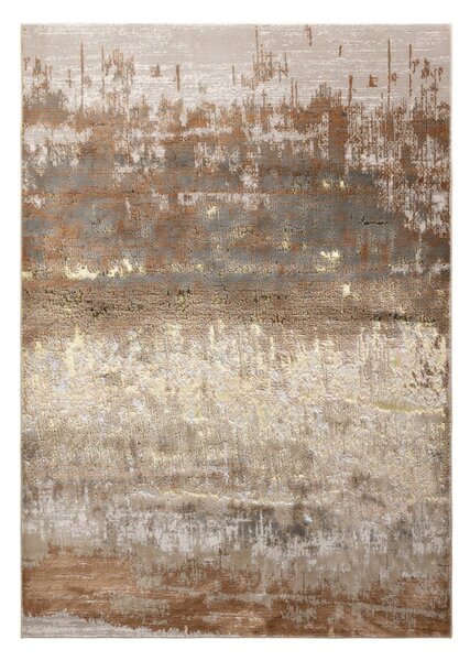 Koberec 290x200 cm Aurora - Asiatic Carpets