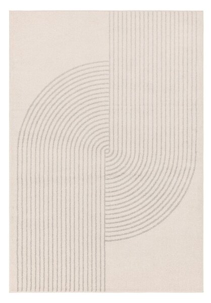 Krémovo-sivý koberec 290x200 cm Muse - Asiatic Carpets