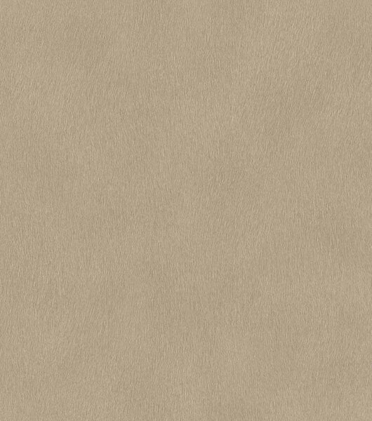 RASCH | Vliesová tapeta na stenu African Queen 751055 | 0,53 x 10,05 m | hnedá