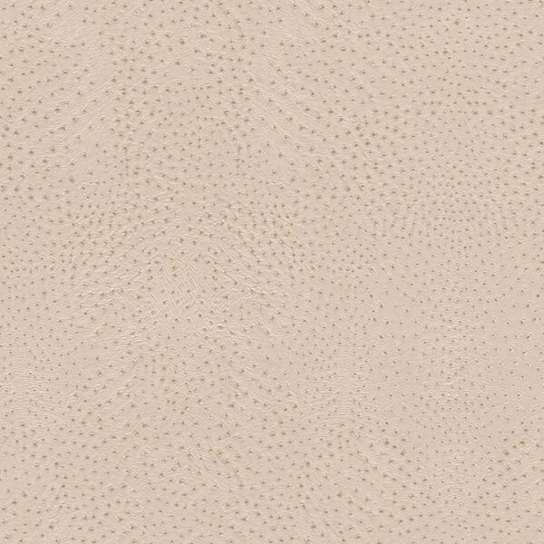 RASCH | Vliesová tapeta na stenu African Queen 751512 | 0,53 x 10,05 m | béžová, šedá