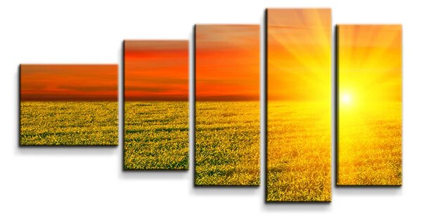 Sablio Obraz - 5-dílný Západ slnka nad lúkou - 100x60 cm