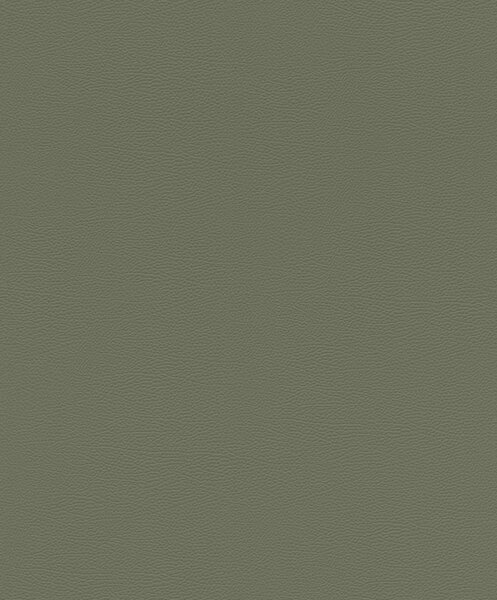 RASCH | Vliesová tapeta na stenu African Queen 752687 | 0,53 x 10,05 m | zelená