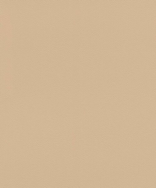 RASCH | Vliesová tapeta na stenu African Queen 752694 | 0,53 x 10,05 m | béžová