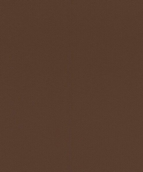 RASCH | Vliesová tapeta na stenu African Queen 752663 | 0,53 x 10,05 m | hnedá