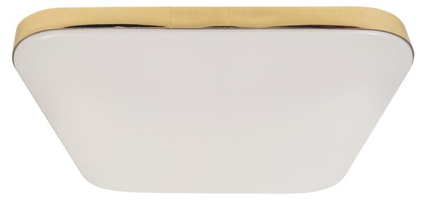 Stropné LED svietidlo Nemo, 1x LED 17w, 4000k, g
