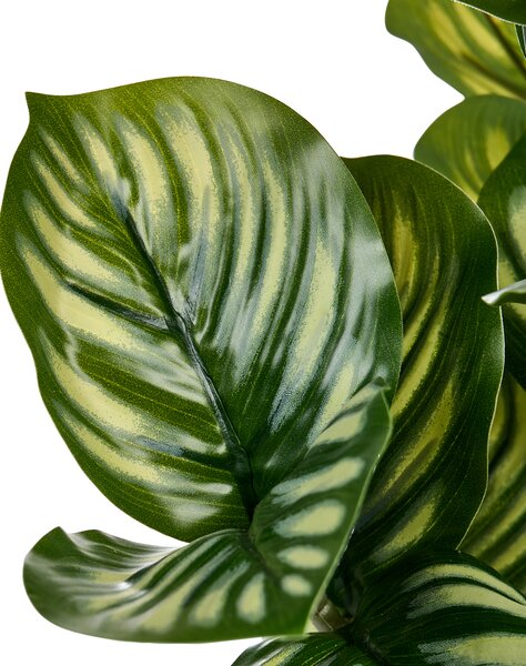 Umelá rastlina v kvetináči zelená syntetický materiál 50 cm kalatea orbifolia doplnky do interiéru