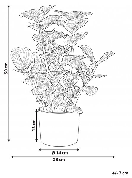 Umelá rastlina v kvetináči zelená syntetický materiál 50 cm kalatea orbifolia doplnky do interiéru