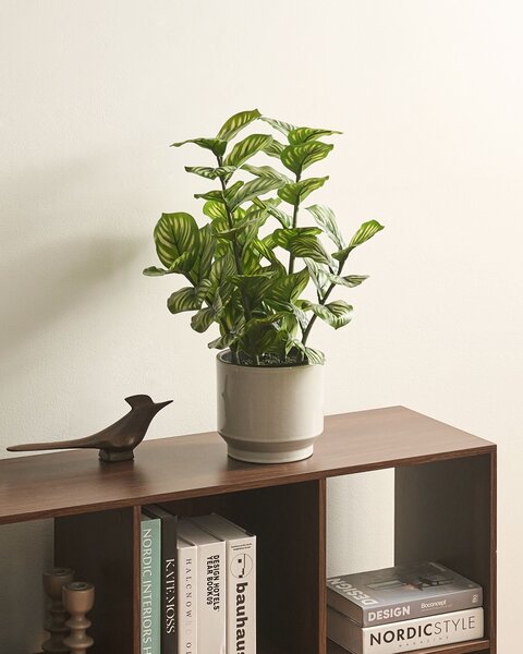 Umelá rastlina v kvetináči zelená syntetický materiál 50 cm kalatea orbifolia doplnky do interiéru