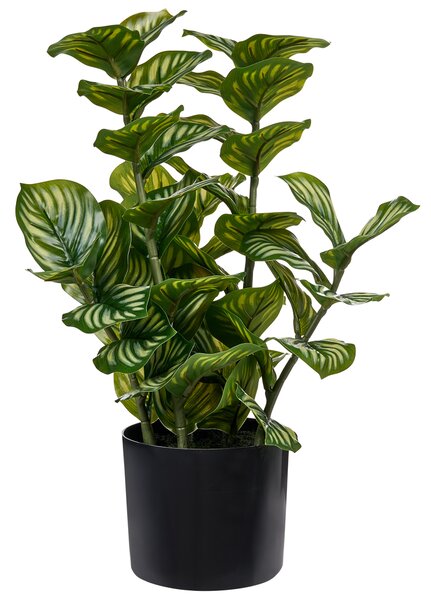 Umelá rastlina v kvetináči zelená syntetický materiál 50 cm kalatea orbifolia doplnky do interiéru