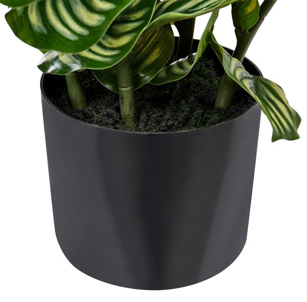 Umelá rastlina v kvetináči zelená syntetický materiál 50 cm kalatea orbifolia doplnky do interiéru