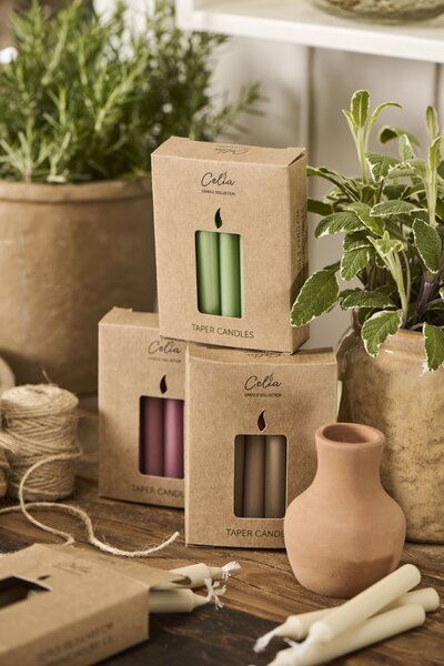 Sviečka Taper Green Tea – sada 12 ks