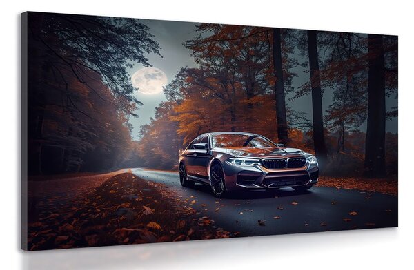 Obraz BMW v splne mesiaca