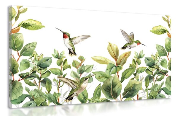 Obraz kolibríky a listy