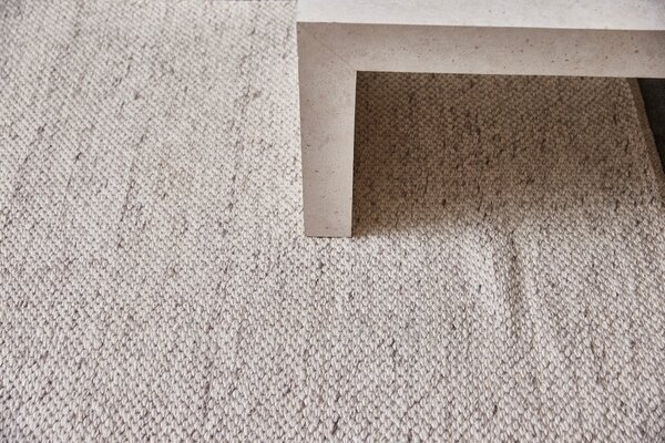 Diamond Carpets India , Ručne viazaný kusový koberec Salt DE 4061, 80x150, biela, obývacia izba