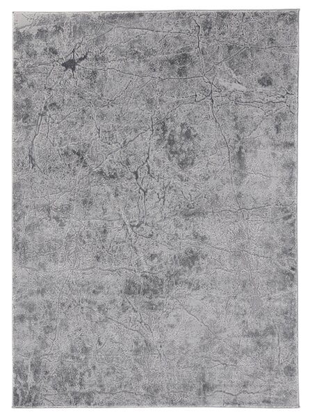 Koberec SIGGI GREY sivá, 120x180 cm