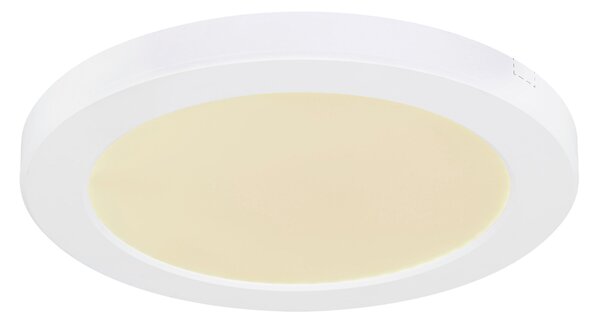STROPNÉ LED SVIETIDLO, 22/1,8 cm Boxxx - Interiérové svietidlá