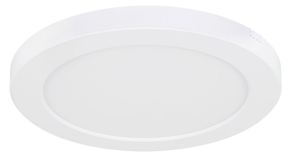 STROPNÉ LED SVIETIDLO, 22/1,8 cm Boxxx - Interiérové svietidlá
