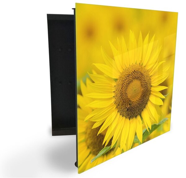 Glasdekor skrinka na kľúče - detail kvet slnečnice - Pravé / Biela