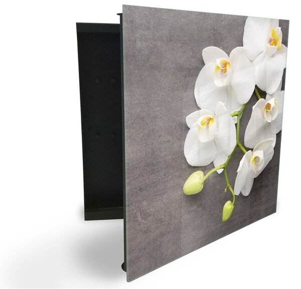 Glasdekor skrinka na kľúče - biele kvety orchidey na betóne - Ľavé / Biela