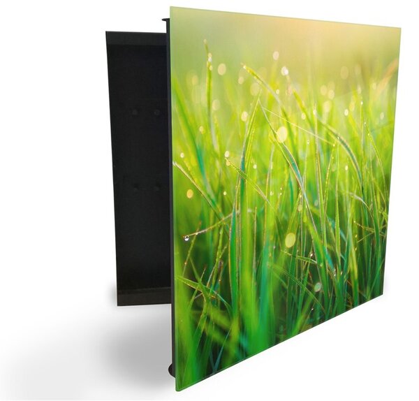 Glasdekor skrinka na kľúče - detail orosenej trávy v rannom slnku - Pravé / Biela