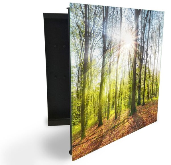 Glasdekor skrinka na kľúče - jarný les pri východe slnka - Pravé / Čierna
