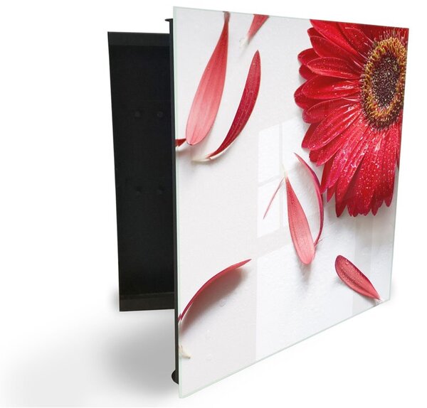 Glasdekor skrinka na kľúče - kvet červené gerbery na bielom - Pravé / Biela