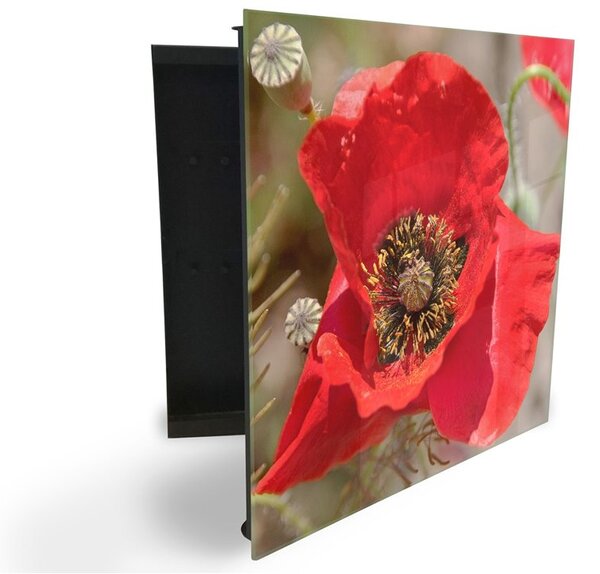 Glasdekor skrinka na kľúče - detail červený kvet vlčí mak - Ľavé / Čierna