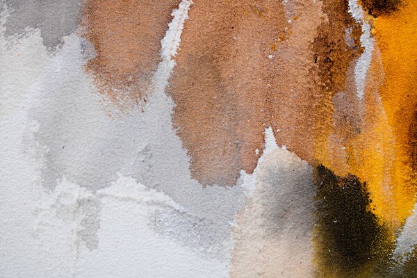 Maľovaný obraz na stenu KVETY 100x50 cm - 100×50 cm / Premium 4 cm