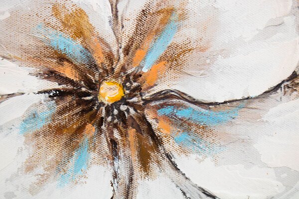Maľovaný obraz na stenu KVETY 100x50 cm - 100×50 cm / Klasický 2 cm