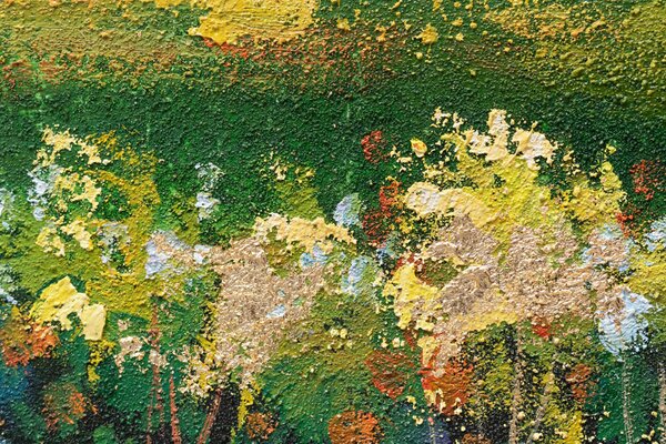 Maľovaný obraz na stenu LÚKA 100x50 cm - 100×50 cm / Klasický 2 cm