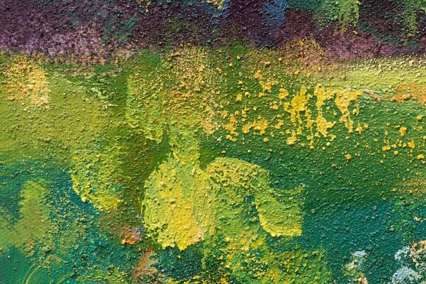 Maľovaný obraz na stenu LÚKA 100x50 cm - 100×50 cm / Klasický 2 cm