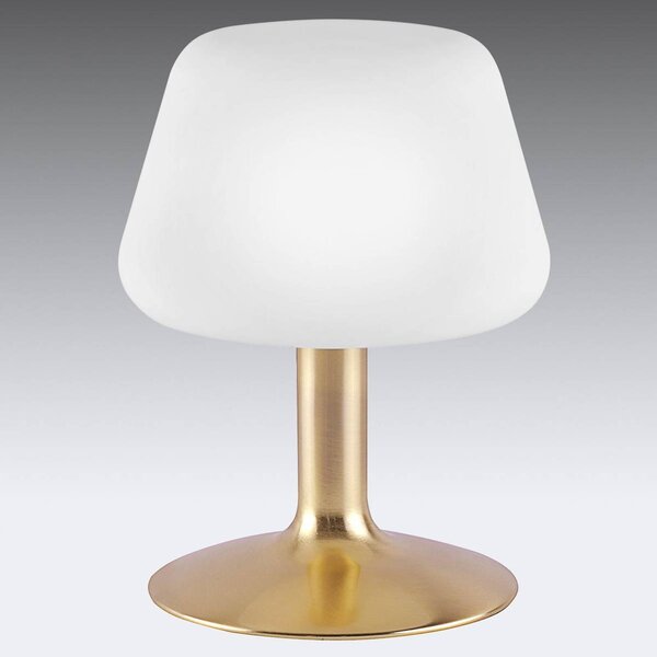Stolná lampa Paul Neuhaus Till, mosadzná farba, sklo, stmievateľná, Mosadz / zlato, Obývacia izba / jedáleň, kov, Moderný, Stojacie svietidlo