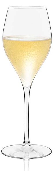 Rona poháre Champagne 290 ml 6 ks