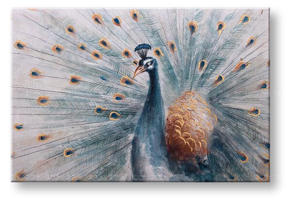 Maľovaný obraz na stenu PÁV 90x60 cm - 90×60 cm / Premium 4 cm