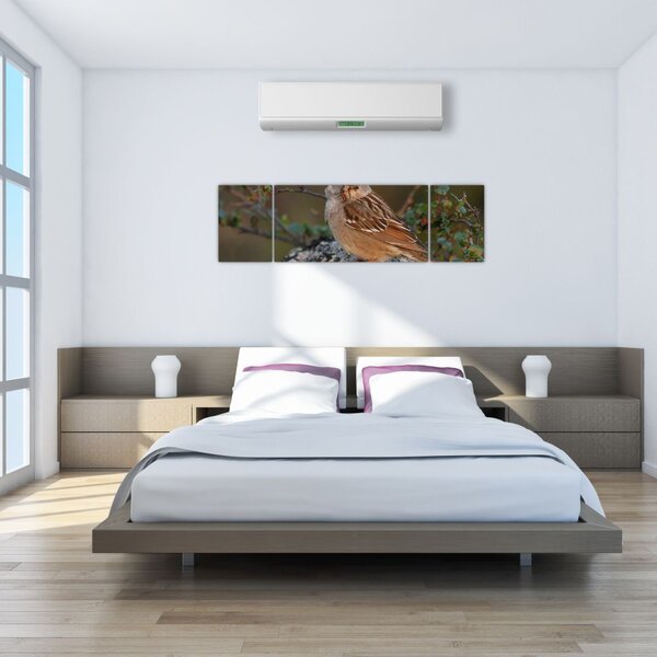 Obrazy zvierat (Obraz 170x50cm)