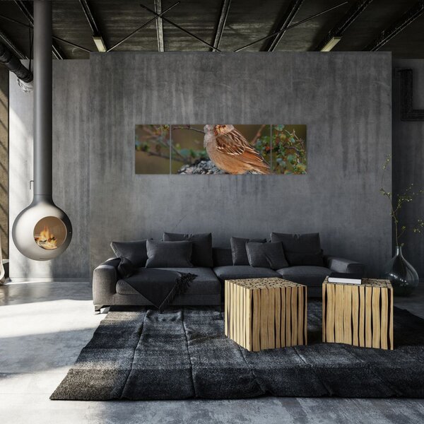 Obrazy zvierat (Obraz 170x50cm)
