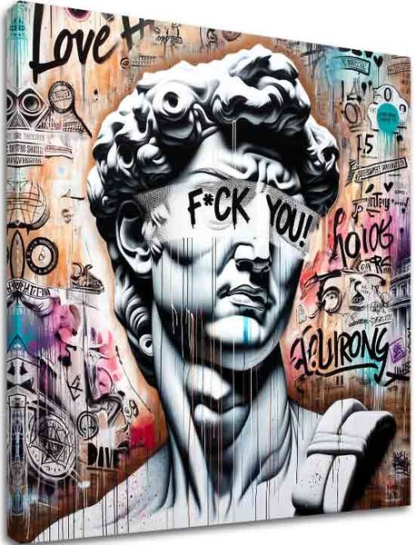 Obraz na plátne - Rebel David | rôzne rozmery - 60x60 cm