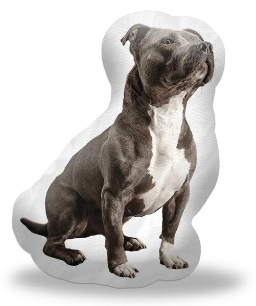 Sablio 3D vankúš Amstaff 44×50cm