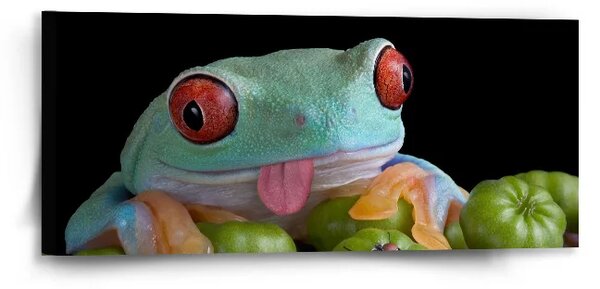 Sablio Obraz Veselá žaba - 110x50 cm