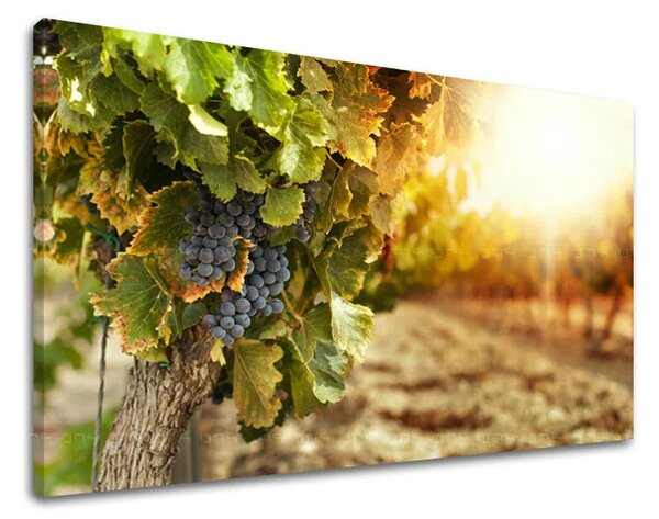 Obraz na stenu KUCHYŇA Zľava 60 % 20x30 cm
