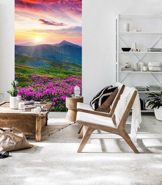 Fototapeta na stenu + lepidlo Zadarmo / SLOVENSKO - 254x152 cm