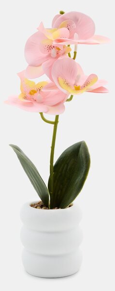 Sinsay - Dekoratívna rastlina v kvetináči – orchidea - pastelová ružová